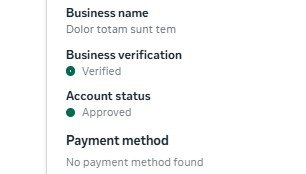 Buy WhatsApp Business API Limit 250 With FB Verified BM. Slide 4